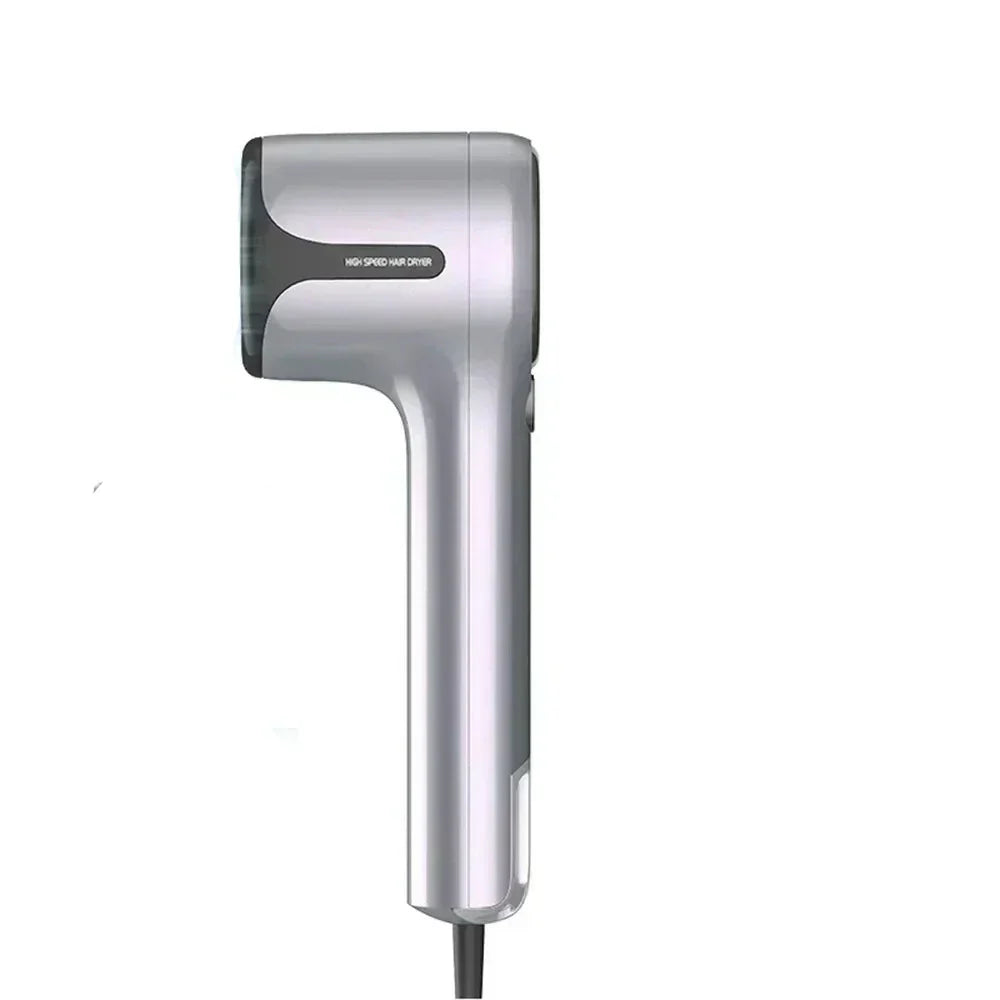 Professional Ionic Hair Dryer